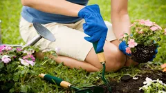 Welche Pflanzen man nicht nebeneinander pflanzen sollte: Ein Gärtner nennt Mischkultur-Regeln