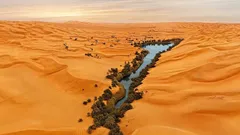 Unter der trockensten Wüste der Erde entdeckte man in zwei Metern Tiefe eine verborgene «Oase»