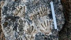 Forscher fanden Handabdrücke an einem abgelegenen Ort – doch wer sie hinterliess, weiss niemand