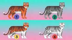 Erstaunlicher Test: Wähle einen Tiger und finde deine grösste Stärke heraus