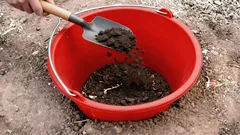 Warum man mitten im Beet einen Eimer eingräbt: ein Gartentrick, den kaum jemand kennt