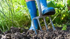 Garten im März: 4 äusserst wichtige Aufgaben, die Sie bis Ende des Monats erledigen sollten