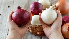 Nur wenige wissen es: Das ist der wichtigste Unterschied zwischen weissen und roten Zwiebeln