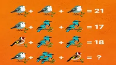 Nur ein Genie findet die richtige Antwort: Erstaunlich schwieriges Rätsel