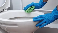 Kein Mittel hat jemals so gut gereinigt wie dieses – die Toilette wurde strahlend weiss