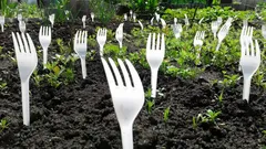 Die Nachbarn lachten – bis sie das Ergebnis sahen: Wozu braucht man Gabeln im Garten?