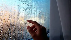 Fenster hören auf, zu beschlagen und zu schimmeln: 4 einfache Methoden gegen Kondenswasser